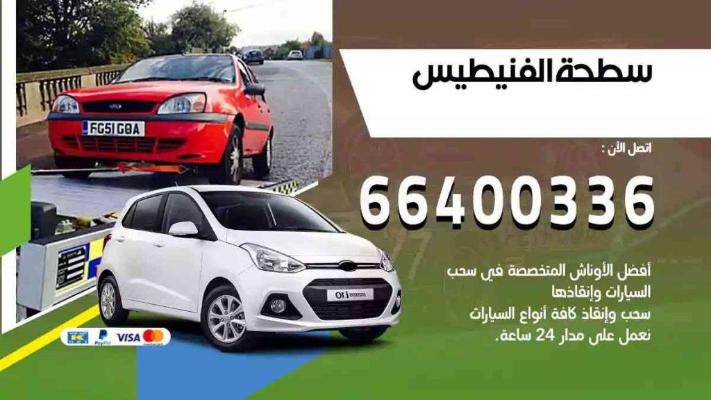 سطحة الفنيطيس